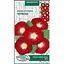 Насіння Іпомея Пурпурова Насіння України Червона 0.5 г (784600) - мініатюра 1
