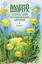 Порослий кульбабами дворик. Жовте світло вікон - Валерій Шевчук - мініатюра 1