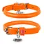 Ошейник для собак кожаный Waudog Glamour с QR-паспортом круглый Д 6 мм Д 17-20 см оранжевый - миниатюра 1