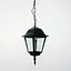 Підвісний вуличний ліхтар під лампу чорного кольору Line.F 9030 H/S BK - мініатюра 1