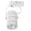 Светильник трековый поворотный LED 423/10W NW WH/SL Brille 32-326 - миниатюра 4