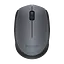 Мышь беспроводная Logitech M171 Grey/Black (910-004424) - миниатюра 1