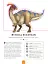 Paperscapes: The Fearsome World of Dinosaurs - миниатюра 5