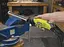 Шлифмашина шлифовально-гравировальная EHT150V 150Вт Ryobi teh0026256 - миниатюра 3