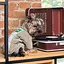 Комбінезон Pet Fashion Ego для собак, розмір XS2, бежевий - мініатюра 6