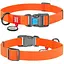 Нашийник для собак Waudog Waterproof водостійкий з QR-паспортом, пластикова пряжка-фастекс, L, Ш 25 мм, Дов 31-49 см (4823089323657) - мініатюра 1