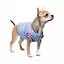Бомбер Pet Fashion Spike для собак, розмір XS, блакитний - мініатюра 2