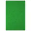 Фетр HARD, 170 г/м², 1.2 мм, Зеленый, А4, 10 шт. в упаковке, 170HQ053 - миниатюра 1