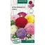 Насіння Айстра Насіння України  Принцеса (суміш) 0.25 г (772200) - мініатюра 1