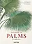 The Book of Palms - миниатюра 1