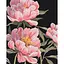 Картина за номерами на підрамнику Brushme Мова півоній LUNATART - мініатюра 1