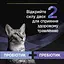 Уценка. Пробиотик с пребиотиком для взрослых кошек и котят Purina Pro Plan FortiFlora Plus для поддержания нормальной миклофлоры кишечника 45 г (30 x 1.5 г) - миниатюра 6