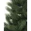 Сосна Hvoya лита 220 см - мініатюра 6