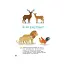 Енциклопедія статевого життя. 4-6 років - миниатюра 5
