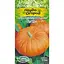 Семена Тыква Насіння України Титан крупноплодный 2 г (667260) - миниатюра 1