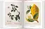 A Garden Eden. Masterpieces of Botanical Illustration. 40th Edition - миниатюра 4