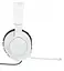 Наушники QUANTUM 100P Console White (JBLQ100PWHTBLU) JBL teh0021221 - миниатюра 3