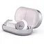 Наушники TWS Bang & Olufsen Beoplay EQ Nordic Ice - миниатюра 1