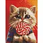 Алмазная мозаика Котик с конфетой AMO7976 30х40 см - миниатюра 1