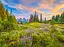 Пазли Castorland Ранкові квіти, 2000 елементів, 92x68 см, C-200863 - мініатюра 1