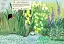 Моя книга природи: Річка і ставок - мініатюра 3