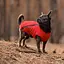 Жилетка для собак Pet Fashion E.Vest XL (червоний) - мініатюра 3