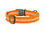 Ошейник для животных WAUDOG Waterproof пластиковый фастекс XXL Ш 40 мм Д 46-70 см оранжевый (25104) - миниатюра 2