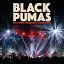 Вініловий диск BLACK PUMAS - LIVE FROM BROOKLYN PARAMOUNT LPX2 - мініатюра 1
