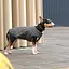 Жилет Pet Fashion E.Vest для собак, розмір XS2, сірий - мініатюра 3