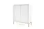 Комод высокий Perfect Home Новая/Nova 2-дверный с золотыми ножками K104 Белый (PFH-091233) - миниатюра 5