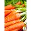 Морква "Суміш кращих популярних сортів" ТМ "Весна"  15г (45525) - мініатюра 2