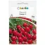 Насіння редиски Садиба Ровер F1, 200 шт. - мініатюра 1