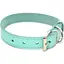 Нашийник для собак Zoo-hunt Весна шкіряний аквамарин 2,5/36-46 см - мініатюра 1