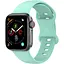 Ремешок DK CDK для Apple Watch 40mm (Series 4 / 5 / 6 / SE1 / SE2) M / L Silicone Band Double Loop (014416) (mint) - миниатюра 1