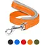 Повідець Dog Extreme з нейлону з прогумованою ручкою (ширина 20мм, довжина 122 см) помаранчевий - мініатюра 3