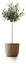 Горщик для квітів Prosperplast Ryfo Eco Wood круглий бежевий 130 мм (82616-4665) - мініатюра 2