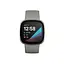 Смарт-годинник Fitbit Sense Silver Sage Grey (FB512SRSG) - мініатюра 2