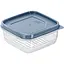 Контейнер для хранения продуктов Freshlife квадратный с крышкой 0.25 л (D-372) - миниатюра 1