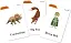 Ladybird Readers 2 Flashcards - миниатюра 2