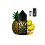 Набор компонентов для самозамеса солевой заправки WES AI 30 мл Pineapple Juice Сочный ананас, 0-50 мг (18134) - миниатюра 2