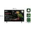LED-телевизор PRIME Technics PT 43F14SG11FR - миниатюра 2