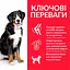 Сухой корм Hill's SP Adult Large Breed для взрослых собак больших пород с курицей 14 кг - миниатюра 2