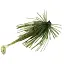 Силикон Keitech Swing Impact 4" #401 Green PumpkinPP.Chart (8 шт/уп) - миниатюра 7