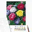 Картина за номерами "Різнобарвні айстри" BS54120, 40х50 см - мініатюра 2