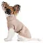 Свитер для собак Pet Fashion Sam L бежевый (PR442447) - миниатюра 4
