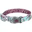 Нашийник для собак Coastal Sublime 1,9 х 20-30 см (26621_OFB12) - мініатюра 1