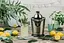 Соковыжималка CJ 100 HE (GS-401F) Gorenje teh0026969 - миниатюра 3