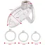 Клітка для пеніса Lockink Sevanda Plastic Penis Chastity Cage - Transparent - мініатюра 9