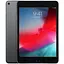 Apple iPad mini 5 Wi-Fi + Cellular 64GB Space Gray (MUXF2, MUX52) - мініатюра 1