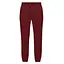 Штани Saucony Recovery Sweatpant Burgundy XXS (1097-800049-SUA3 XXS) - мініатюра 1